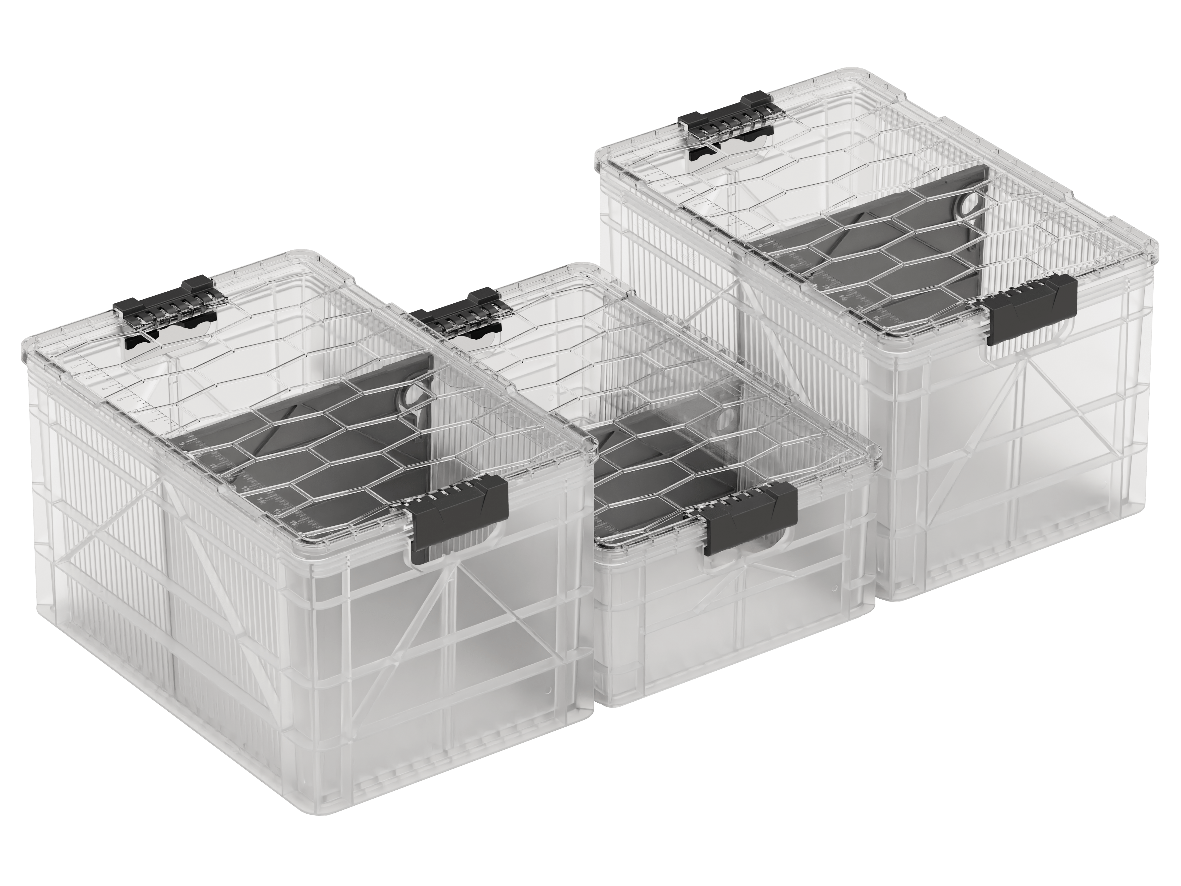 Starter Pack 2.0 - Trail Icon